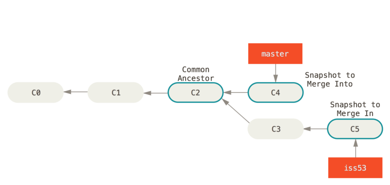 Branch Basics Diagram