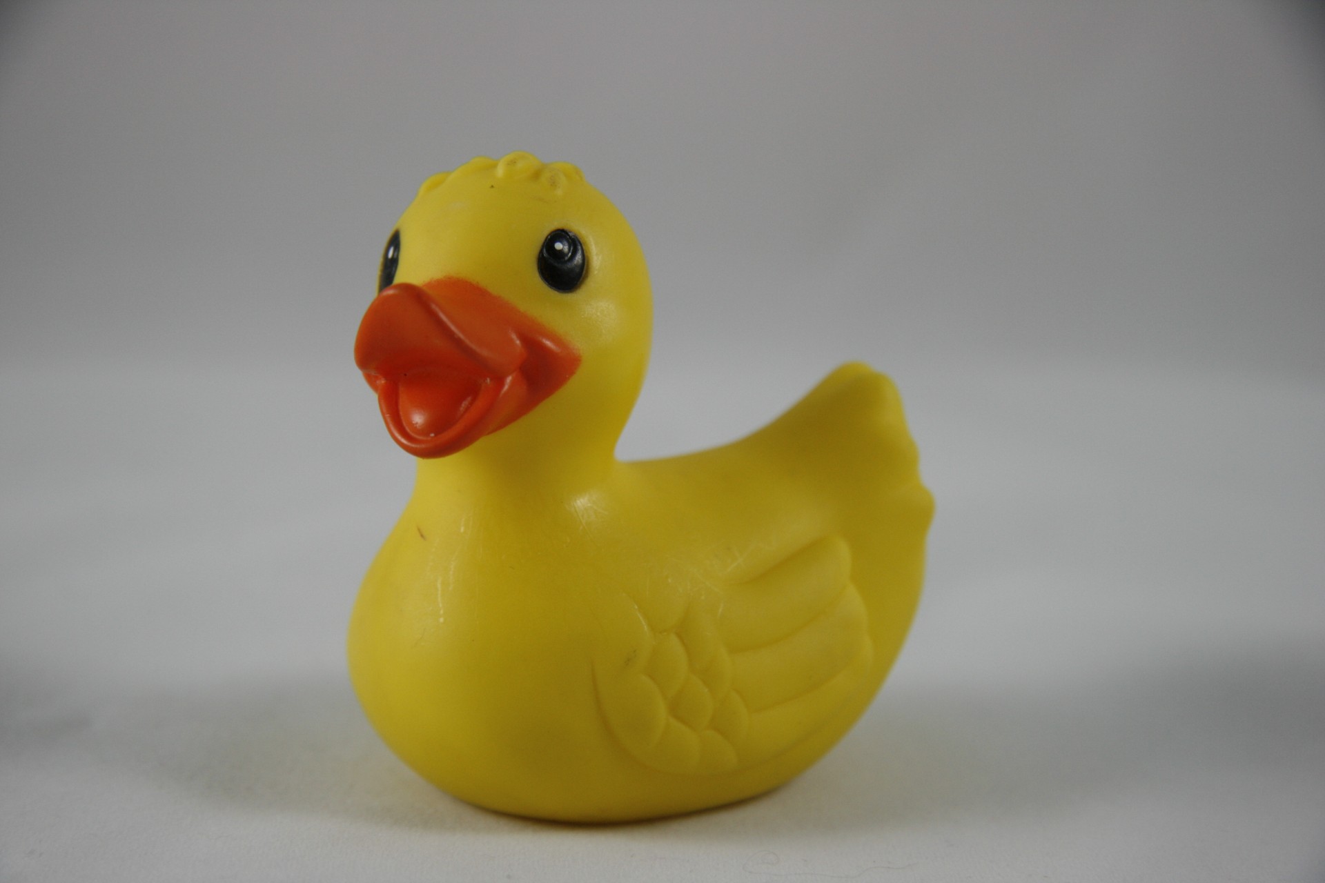 rubber duck